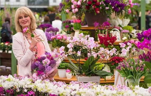 切爾西花展——園林愛好者的盛事