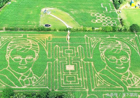 英國玉米迷宮