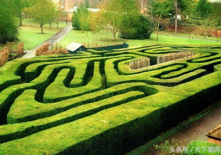 倫敦近郊的HamptonCourtMaze是全世界最古老最大的迷宮之一