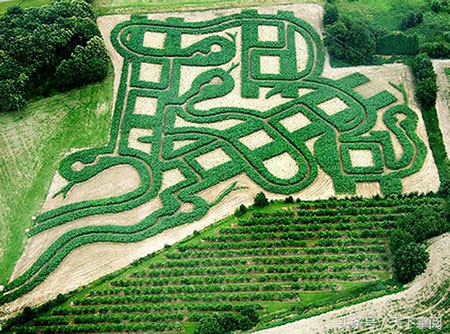 英國厄普丘奇的Snakes‘nLadders