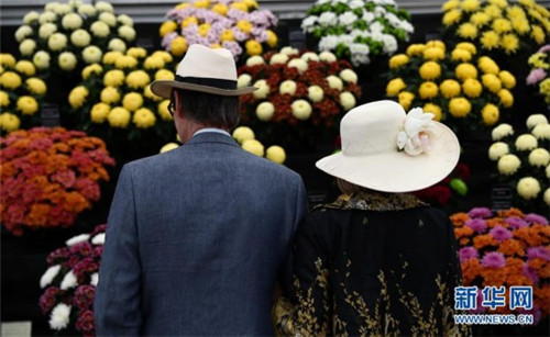 2017切爾西花展那些事