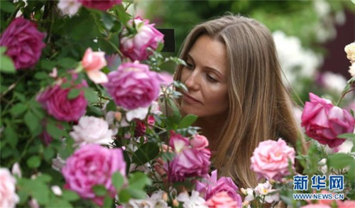 2017切爾西花展那些事