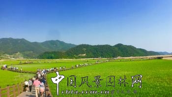 中國風景園林網