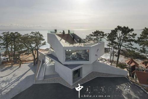 中國風景園林網