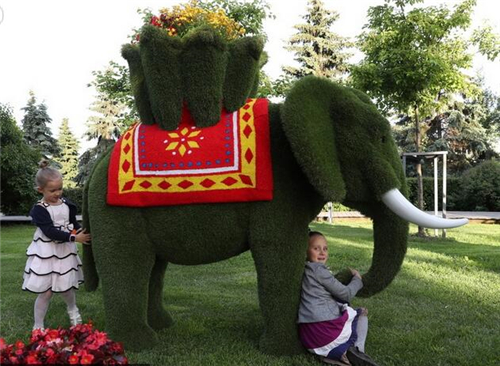 莫斯科國際花展 精美的花雕