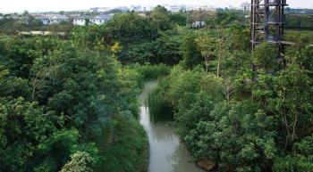 中國風(fēng)景園林網(wǎng)