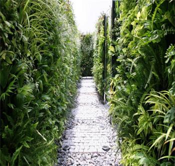 中國(guó)風(fēng)景園林網(wǎng)