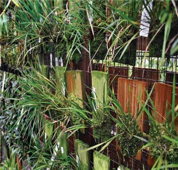 中國(guó)風(fēng)景園林網(wǎng)