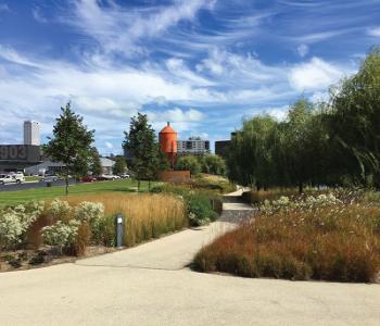 中國風景園林網