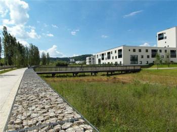 中國風(fēng)景園林網(wǎng)