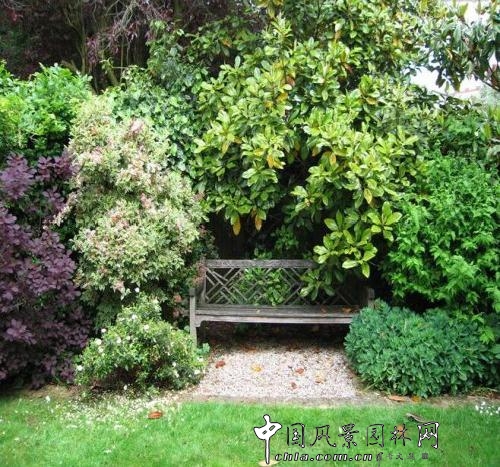 如何將城市里小塊土地變為城市綠洲