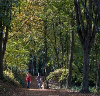 城鄉(xiāng)之間迷人的過渡區(qū)域——荷蘭凱爾克拉德城市公園