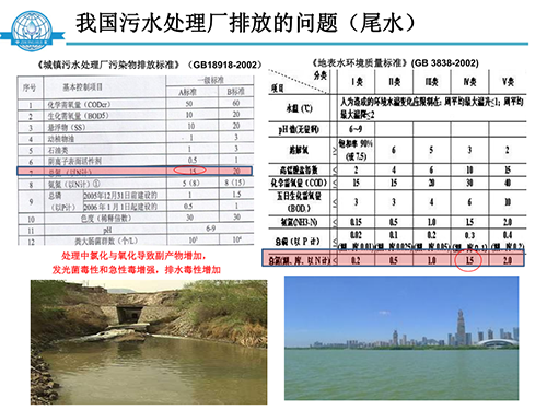 張飲江教授:水質生態修復景觀構建