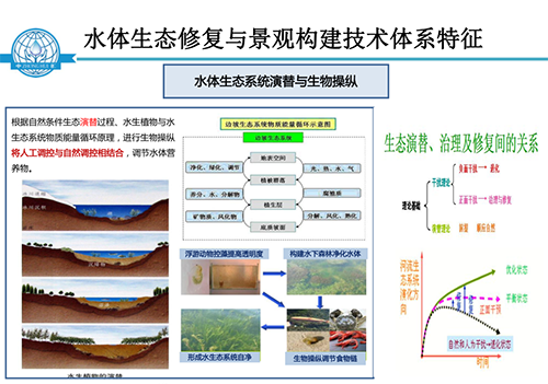 張飲江教授:水質生態修復景觀構建