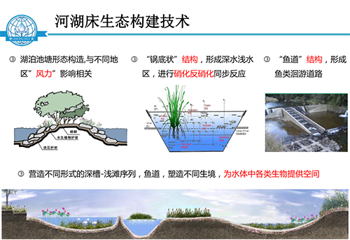 張飲江教授:水質生態修復景觀構建