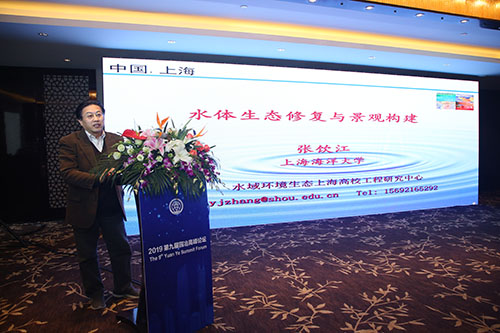 張飲江教授:水質生態修復景觀構建