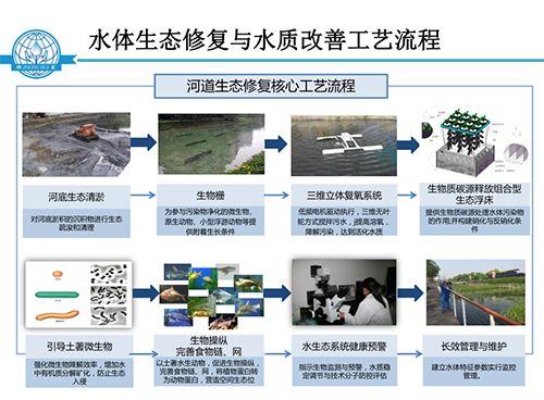 張飲江教授:水質生態修復景觀構建