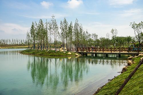 中國風景園林網