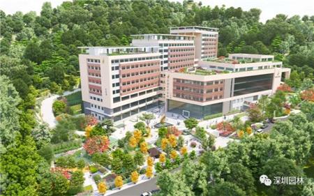 羅湖中醫院景觀設計