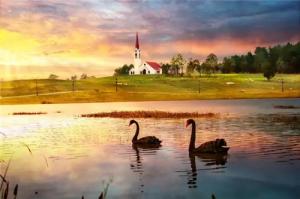 棕櫚設計丨云漫湖的詩與遠方