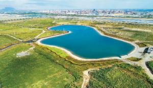 沙區(qū)生態(tài)治理不只是“挖坑栽樹”