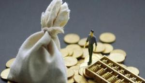 嶺南股份擬定增募資不超12.2億元