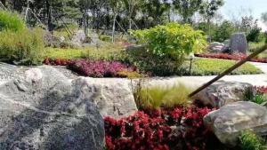 河北省第二屆園博會花境作品——碣石仙臺