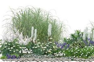 河北省第二屆園博會花境作品——戰爭反思錄