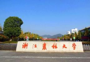 浙江農林大學:用藝術助力鄉村文化振興