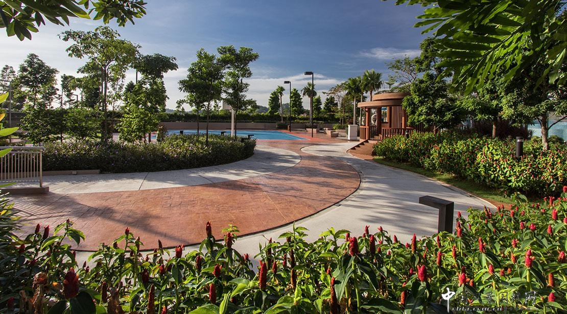 熱帶度假勝地——“共享天空”