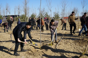 河北:今年計(jì)劃完成城市植樹1000萬株