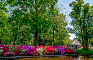 荷蘭花園的代表:庫肯霍夫公園