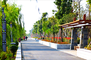 民宿升級(jí)為田園綜合體會(huì)有轉(zhuǎn)機(jī)嗎？