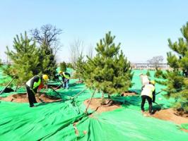 今年北京將綠化造林20萬畝