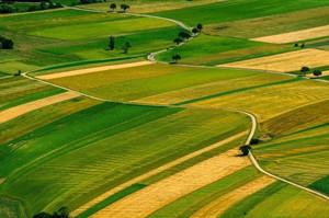 基于四大趨勢(shì)的國(guó)土空間規(guī)劃思路