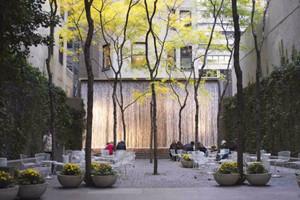 唐子穎：景觀的藝術(shù)性