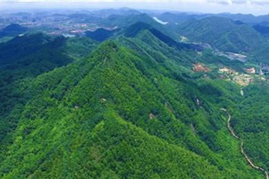 廣東中山國家森林公園