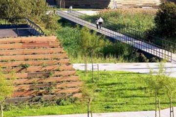 西班牙桑坦德大西洋濕地公園景觀