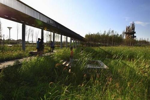 黑龍江群力雨水花園