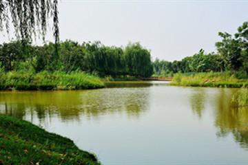 西安浐灞生態國家濕地公園