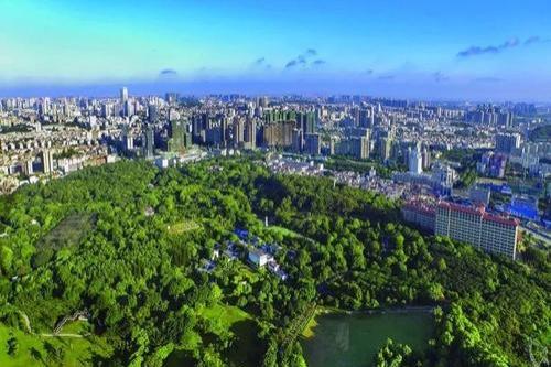 嶺南股份:行業(yè)重啟 信心充足