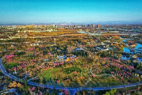 河北邢臺：園博園梅嶺成最新網紅打卡地