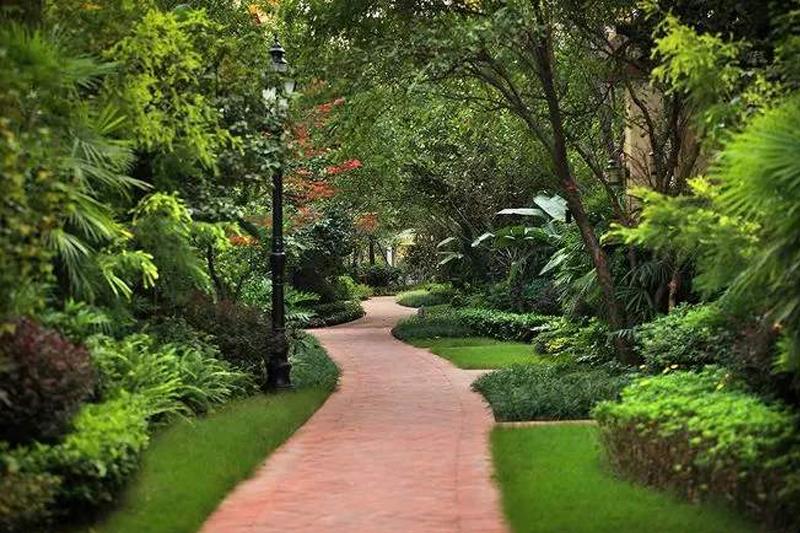 北京：161種節水植物助力節水型園林建設