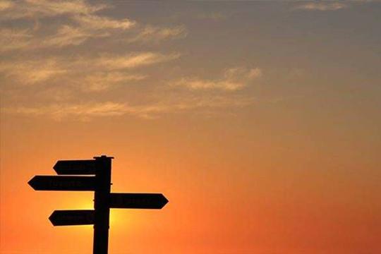 園林行業(yè):2020年將走向何方?