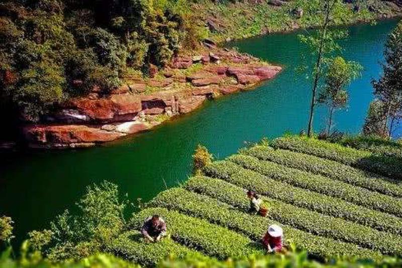 我國首批認定7586個國家森林鄉村