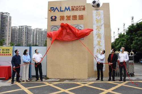 特發(fā)棕櫚公司成立 致力文旅體育