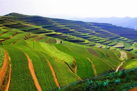 大力推進新時代生態(tài)文明制度建設(shè)