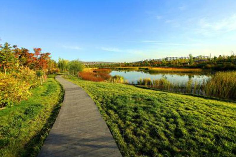 山西省委書記樓陽生：建設地綠水清天藍的美麗家園