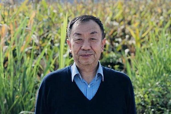 黨國英：城鄉(xiāng)居住形態(tài)對公共安全影響