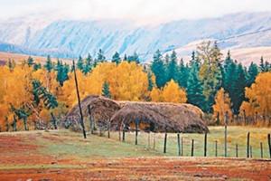 中國還會有多少“國家公園”出現(xiàn)？